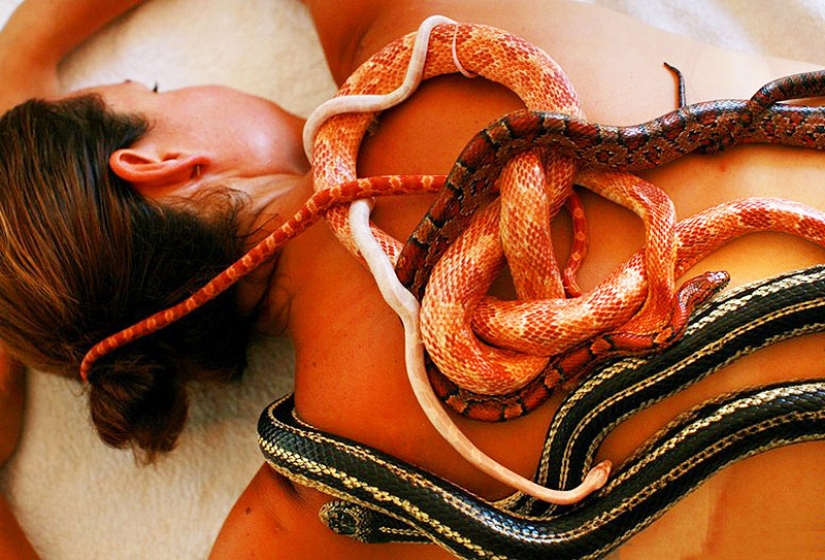 Massage with snakes