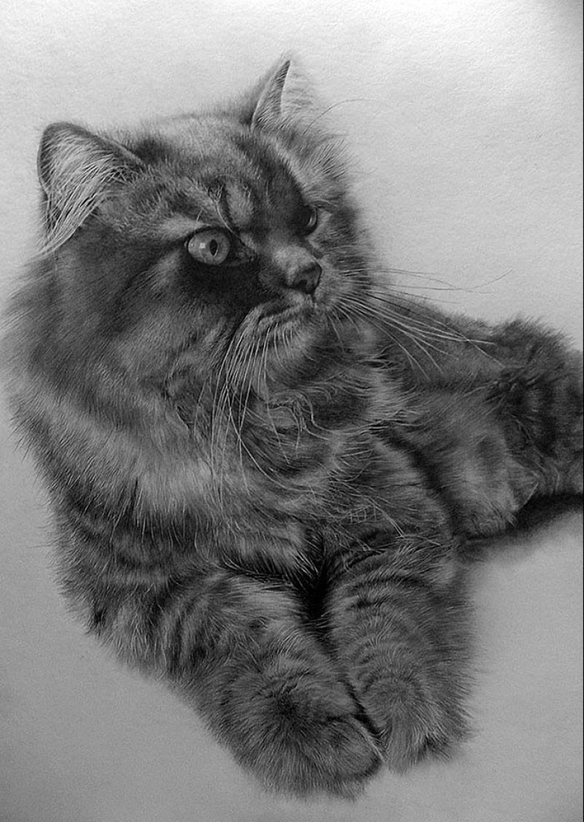 Master of pencil sketch - Paul Lang