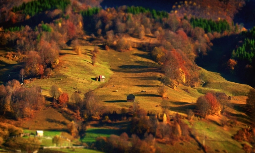 Me levanto a las 5 de la mañana, subo las montañas, y hay una belleza allí