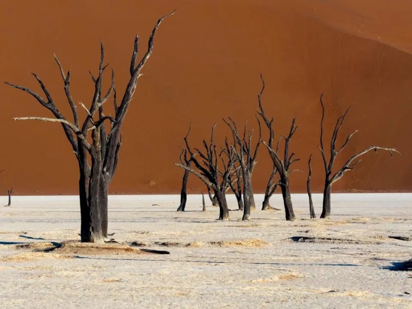 Mejor artista — naturaleza: fabuloso hermosos lugares en diferentes partes del mundo