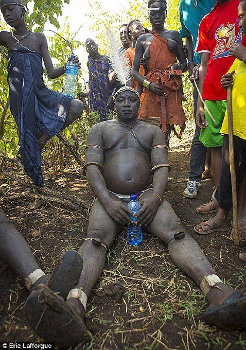 Men of an Ethiopian tribe drink blood with milk to get the title of the fattest resident of the village