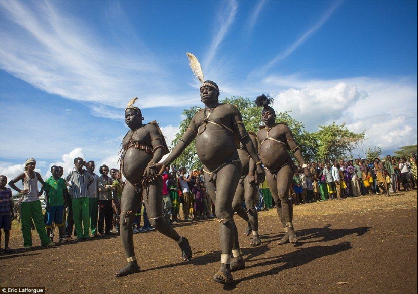 Men of an Ethiopian tribe drink blood with milk to get the title of the fattest resident of the village