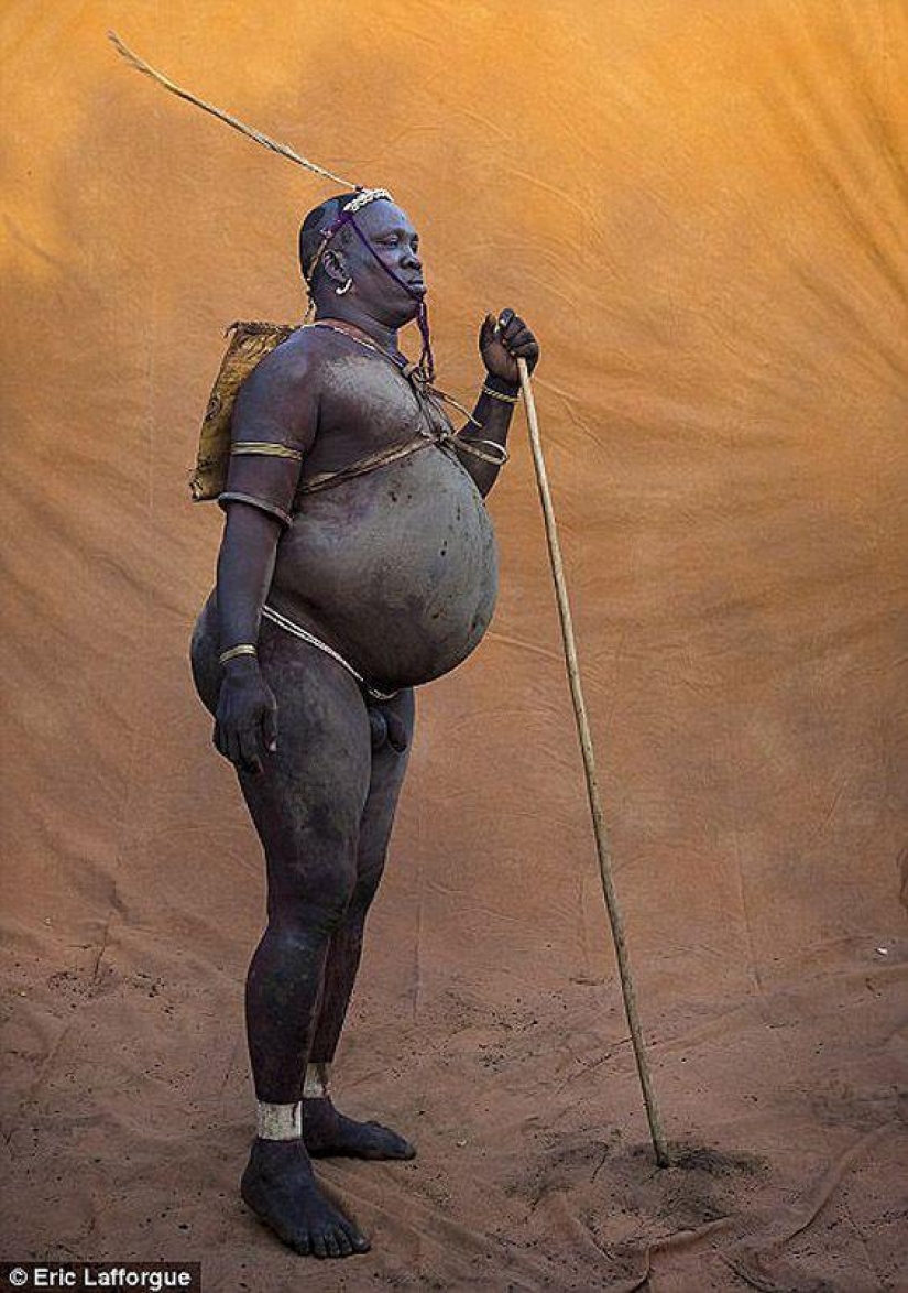 Men of an Ethiopian tribe drink blood with milk to get the title of the fattest resident of the village