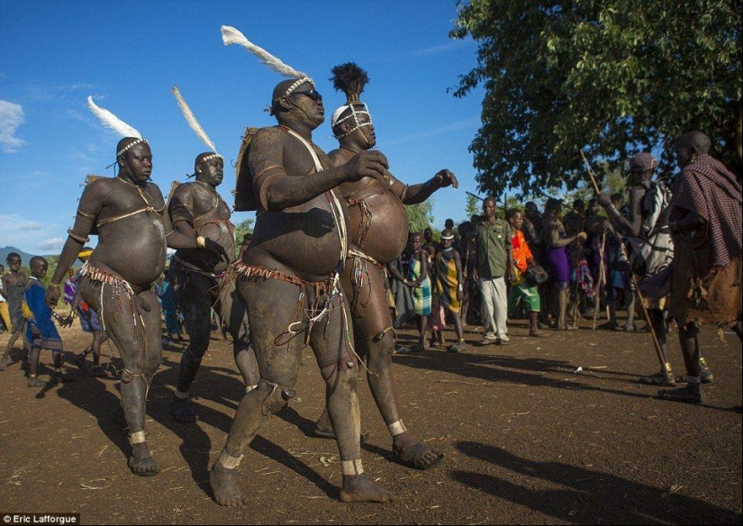 Men of an Ethiopian tribe drink blood with milk to get the title of the fattest resident of the village