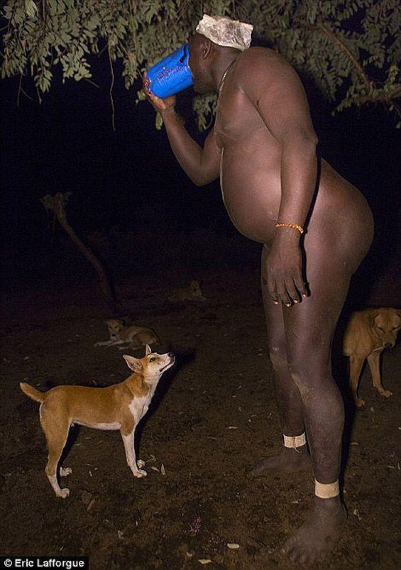 Men of an Ethiopian tribe drink blood with milk to get the title of the fattest resident of the village