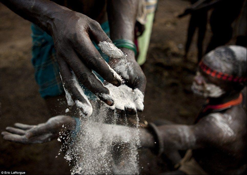 Men of an Ethiopian tribe drink blood with milk to get the title of the fattest resident of the village