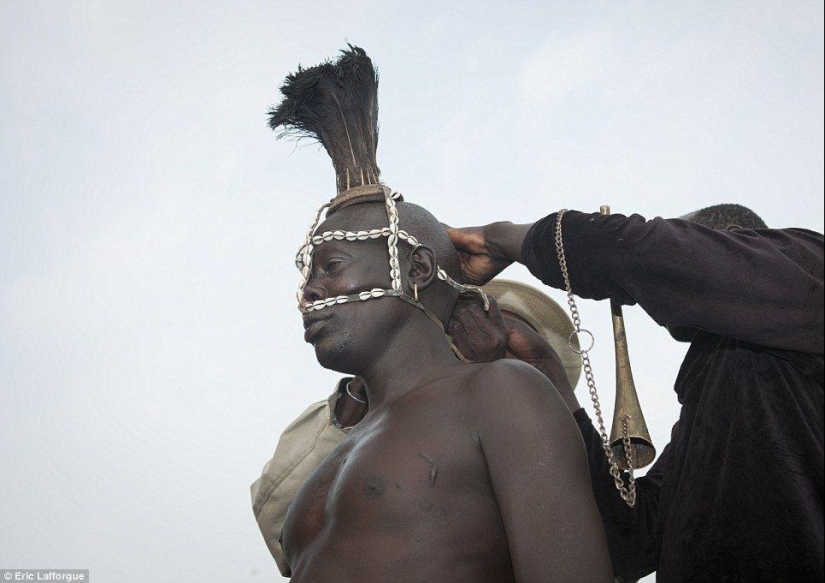 Men of an Ethiopian tribe drink blood with milk to get the title of the fattest resident of the village