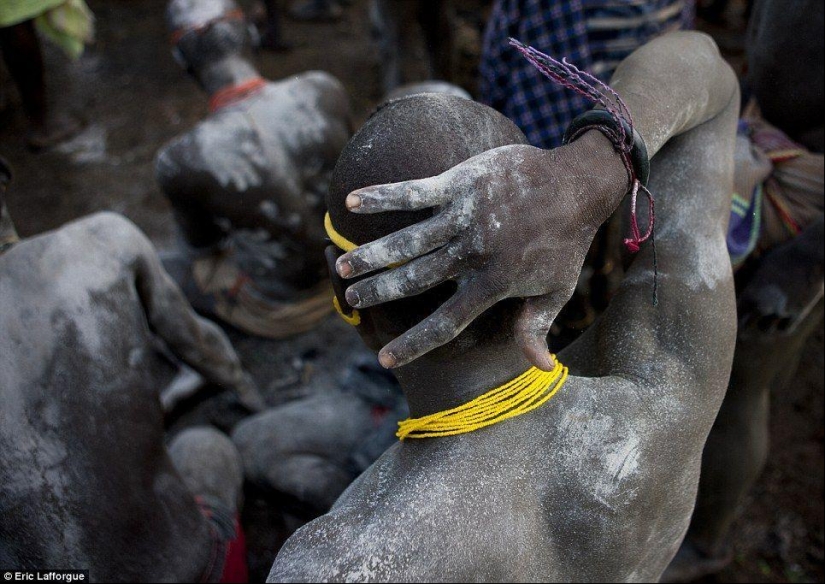 Men of an Ethiopian tribe drink blood with milk to get the title of the fattest resident of the village