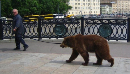 &quot;Mientras tanto en...&quot;: 20 fotos con rasgos de diferentes países