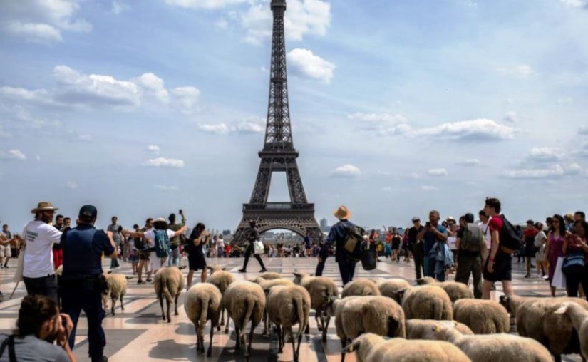 &quot;Mientras tanto en...&quot;: 20 fotos con rasgos de diferentes países