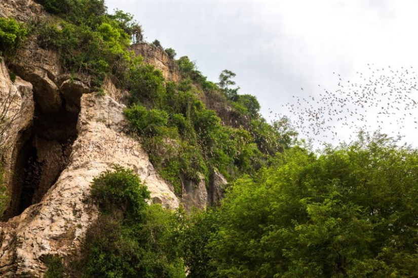 Milagrosa belleza: los 12 más increíbles cuevas en el mundo