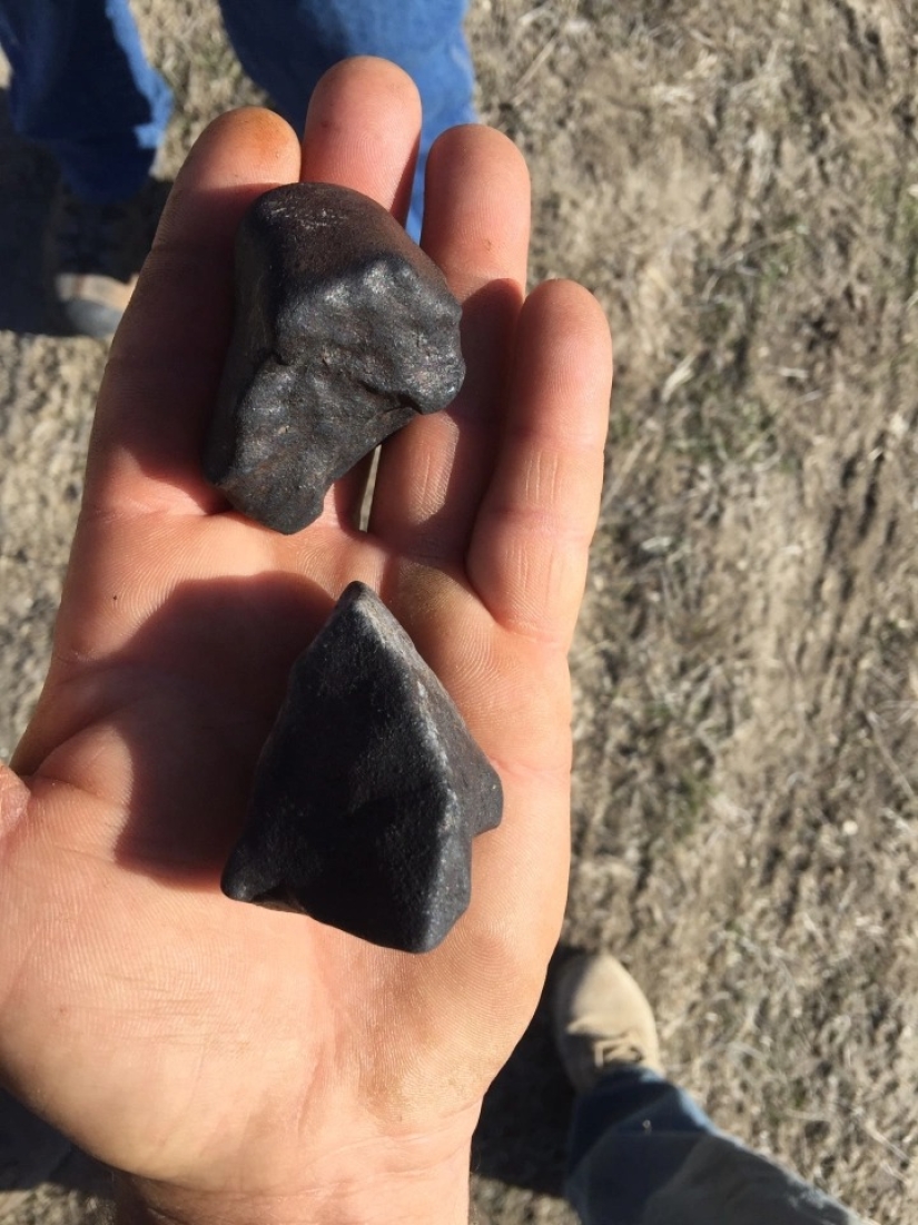 Millones de personas en las rocas: ¿cómo Estadounidense ganó una fortuna mediante la recopilación de los meteoritos