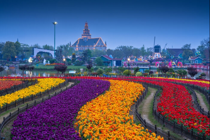 Mis 14 fotografías del Holland Flower Park en China