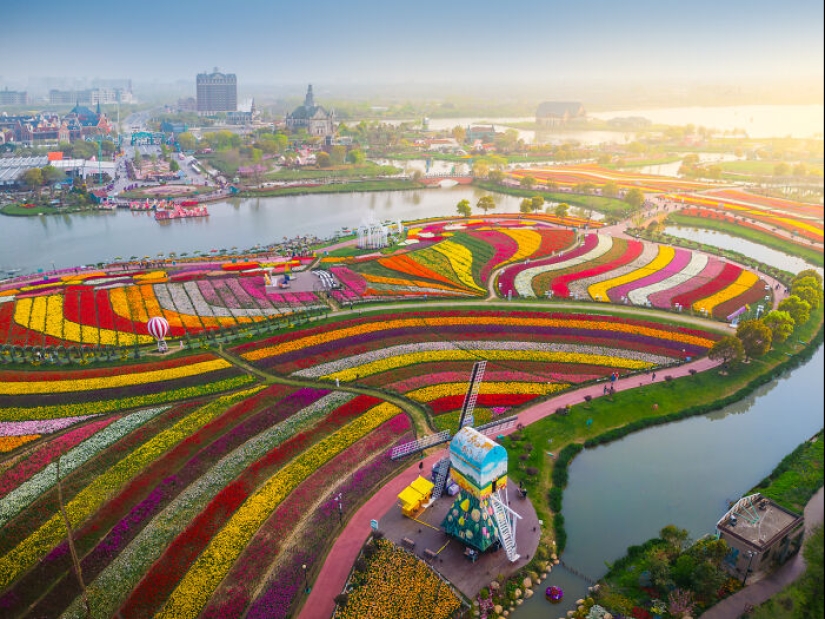 Mis 14 fotografías del Holland Flower Park en China