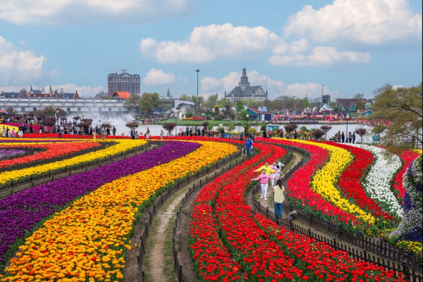 Mis 14 fotografías del Holland Flower Park en China