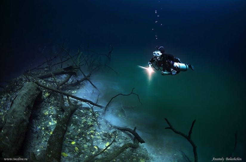 Misterioso río submarino fluye a lo largo del fondo del océano en México