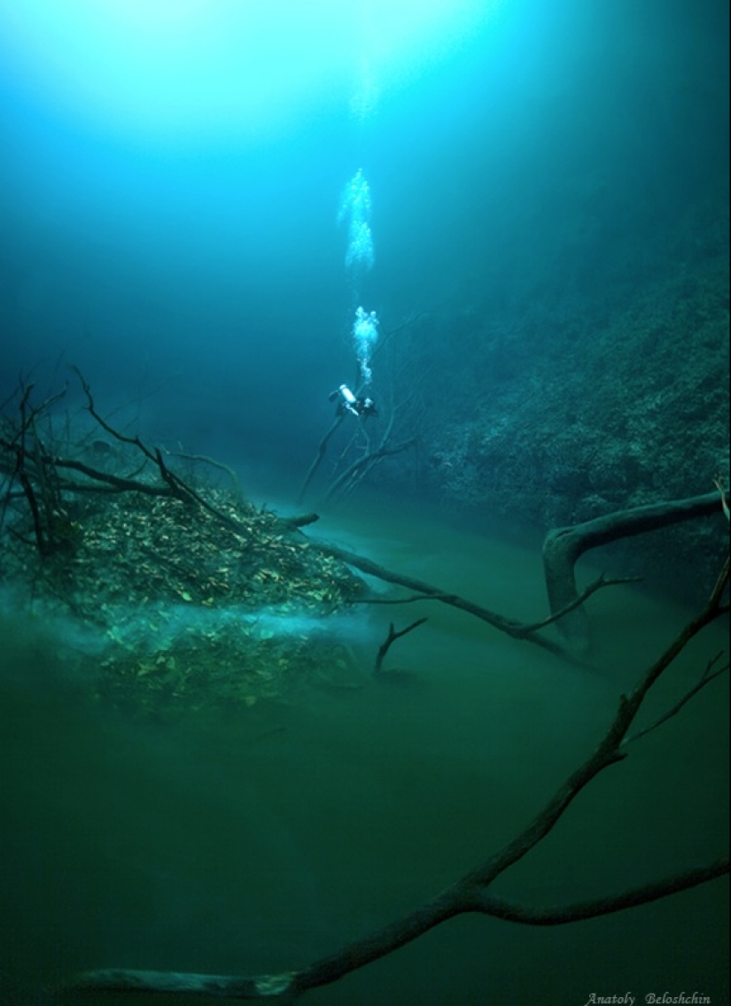 Misterioso río submarino fluye a lo largo del fondo del océano en México