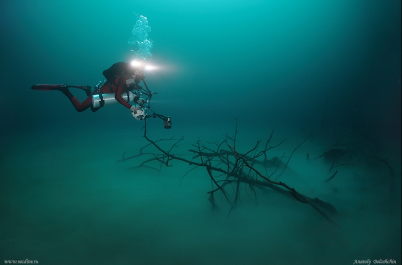 Misterioso río submarino fluye a lo largo del fondo del océano en México