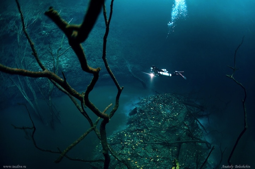 Misterioso río submarino fluye a lo largo del fondo del océano en México