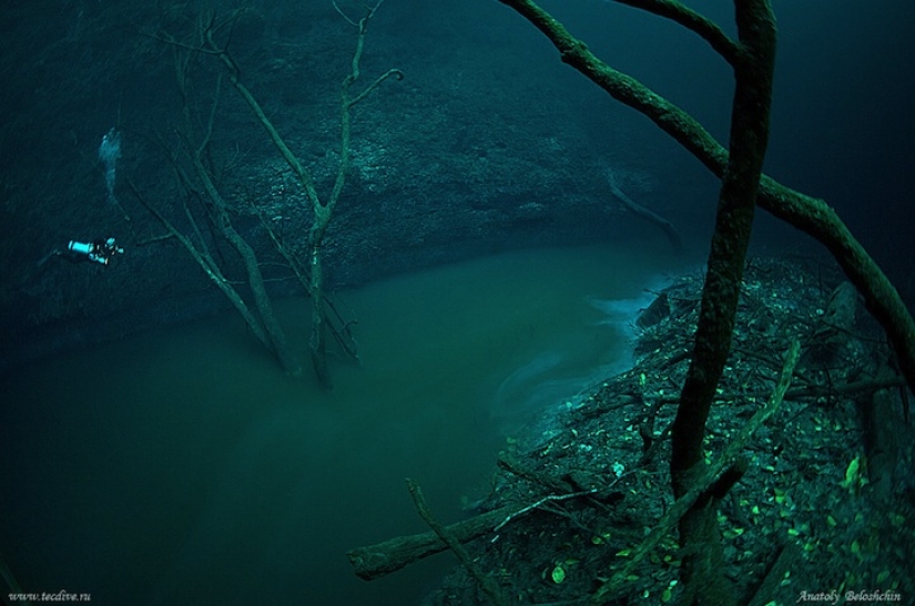 Misterioso río submarino fluye a lo largo del fondo del océano en México