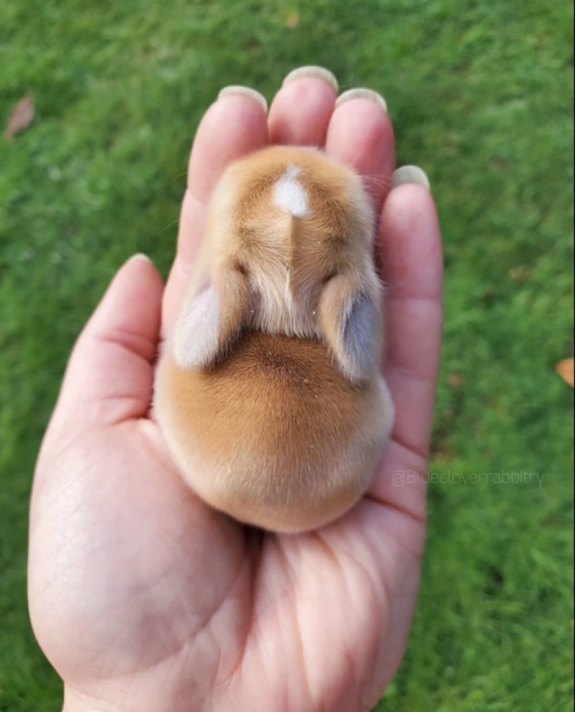 Moments of pure joy: 22 photos that will fill your heart with warmth