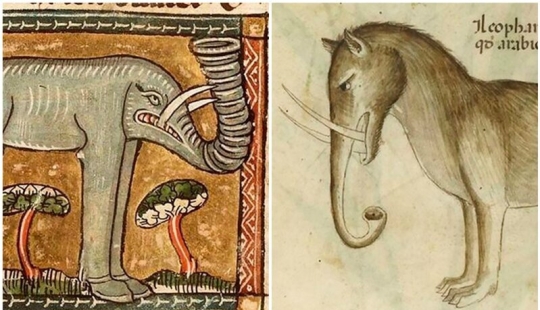 Monster nosed: in the middle Ages painted elephants