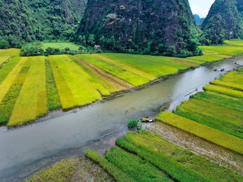 Montañas y campos de arroz Hay Kok