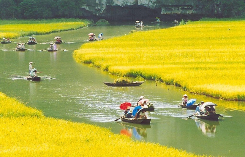 Montañas y campos de arroz Hay Kok