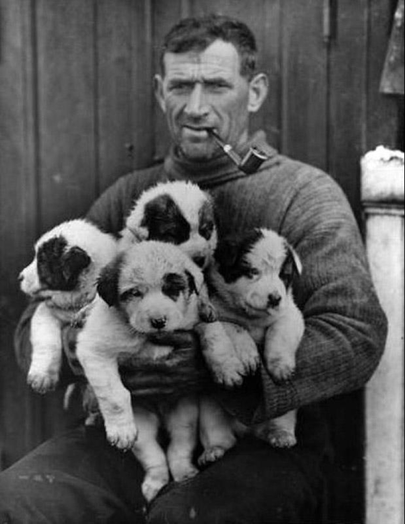 Most impressive photos of Antarctica beginning of the XX century