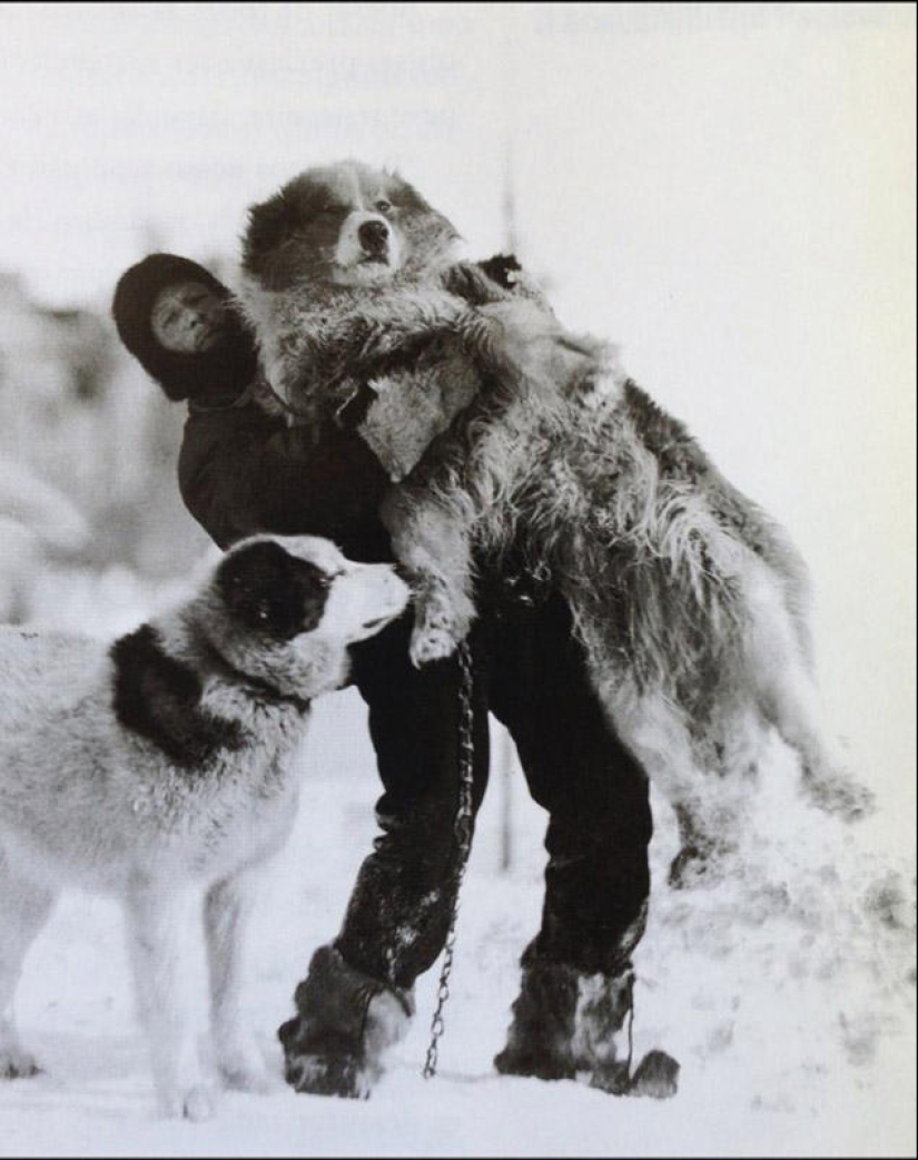 Most impressive photos of Antarctica beginning of the XX century