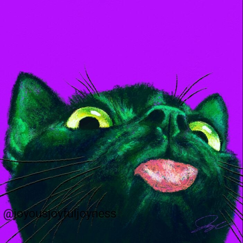 My Colorful Cat Portraits That Highlight Their Irresistible Charm