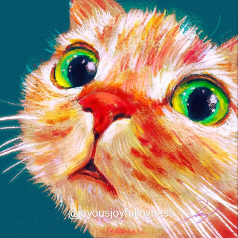 My Colorful Cat Portraits That Highlight Their Irresistible Charm