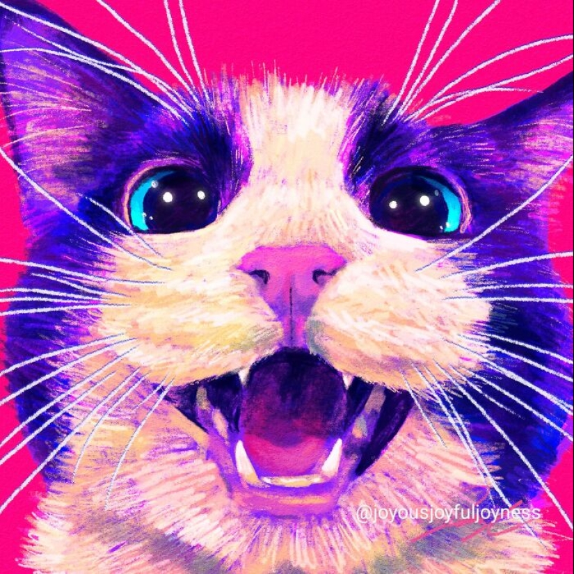 My Colorful Cat Portraits That Highlight Their Irresistible Charm