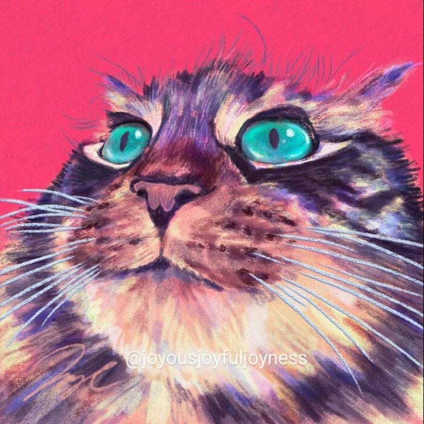 My Colorful Cat Portraits That Highlight Their Irresistible Charm