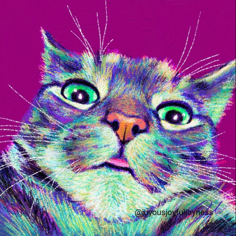 My Colorful Cat Portraits That Highlight Their Irresistible Charm