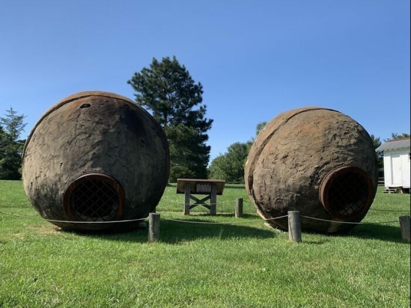 Mysterious "Wasp Nests" that were used for gold mining in America in the 19th century