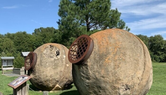 Mysterious "Wasp Nests" that were used for gold mining in America in the 19th century