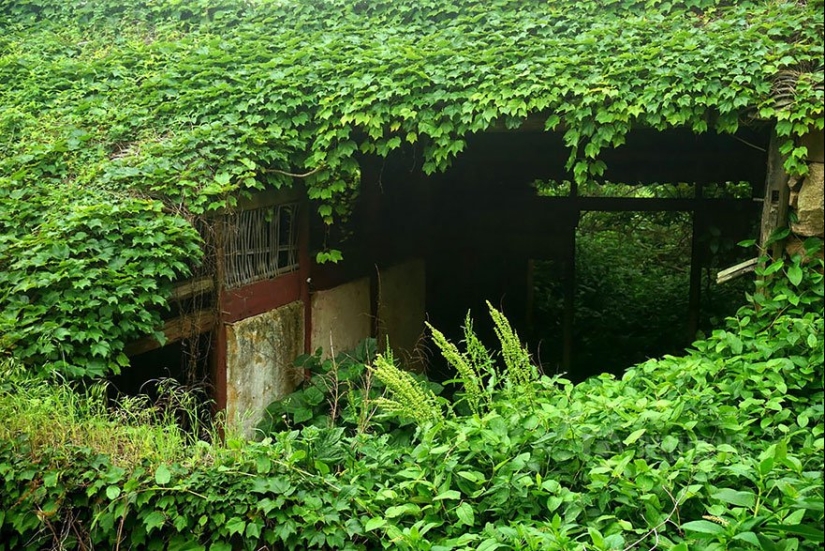 Nature-absorbed fishing village