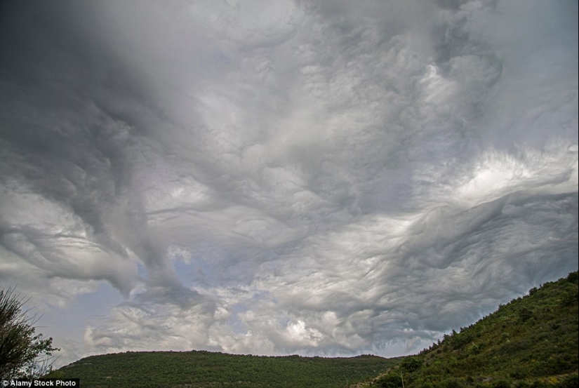 Nature&#39;s surprises - these unrealistic photos will make you want to look twice