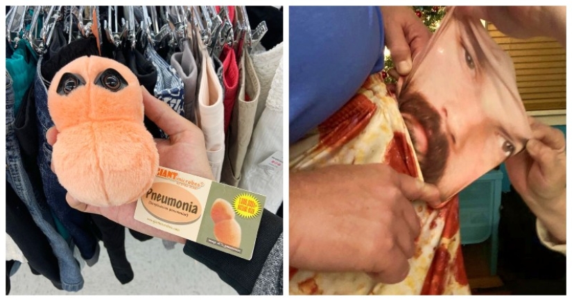 Neumococo de felpa y otras 22 curiosidades que pocas personas han visto Neumococo de felpa y otras 22 curiosidades que pocas personas han visto