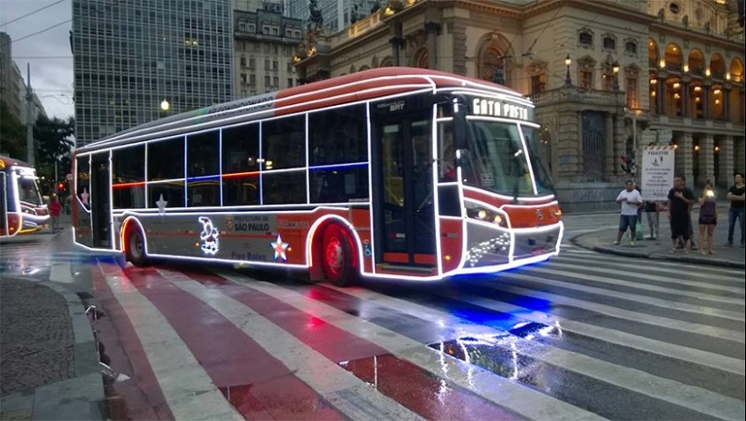 Neumococo de felpa y otras 22 curiosidades que pocas personas han visto Neumococo de felpa y otras 22 curiosidades que pocas personas han visto