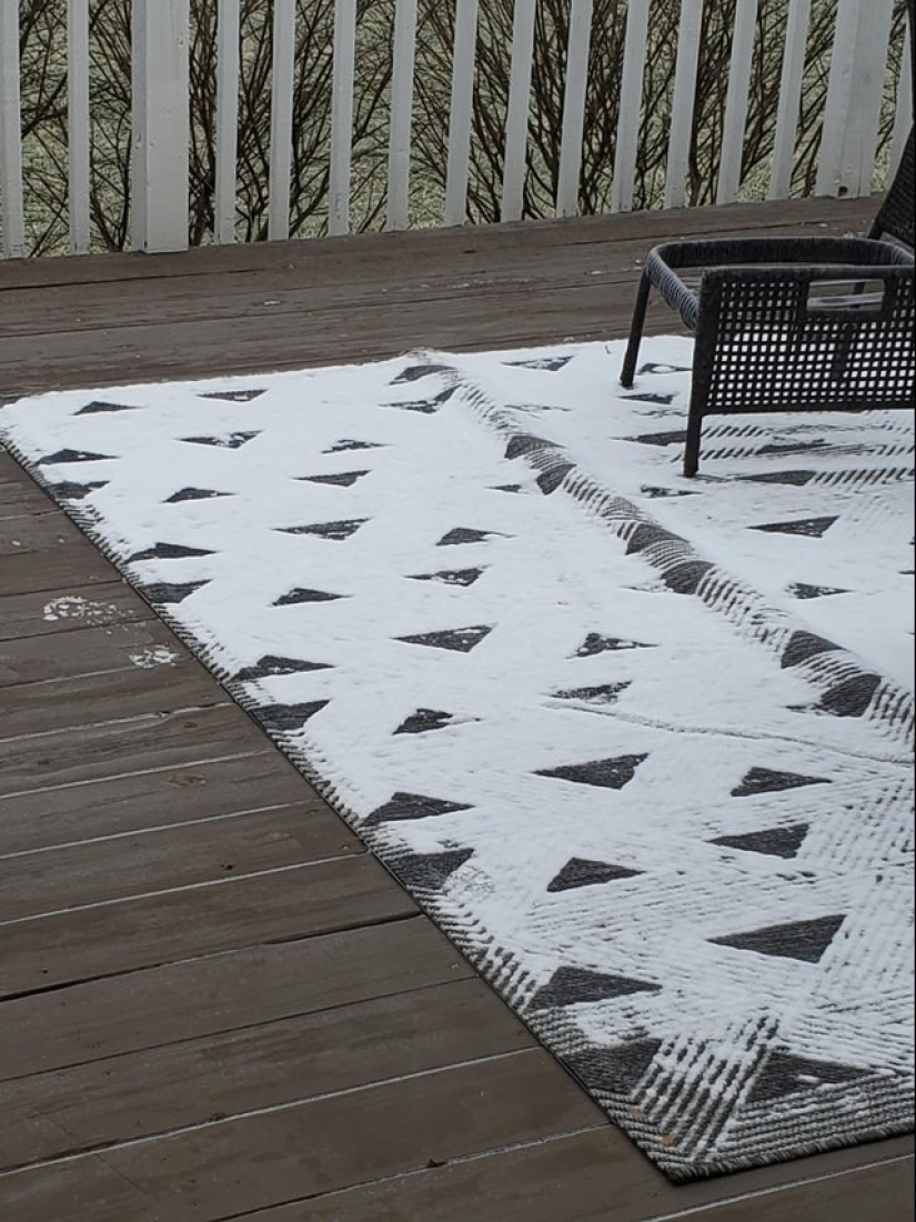 Neumococo de felpa y otras 22 curiosidades que pocas personas han visto Neumococo de felpa y otras 22 curiosidades que pocas personas han visto