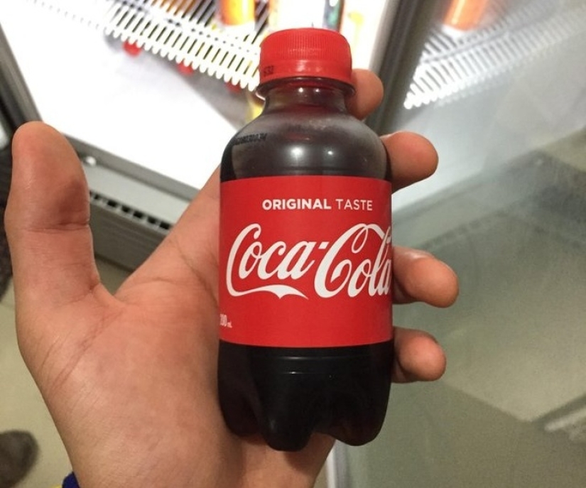 Neumococo de felpa y otras 22 curiosidades que pocas personas han visto Neumococo de felpa y otras 22 curiosidades que pocas personas han visto