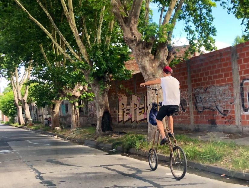 Neumococo de felpa y otras 22 curiosidades que pocas personas han visto Neumococo de felpa y otras 22 curiosidades que pocas personas han visto