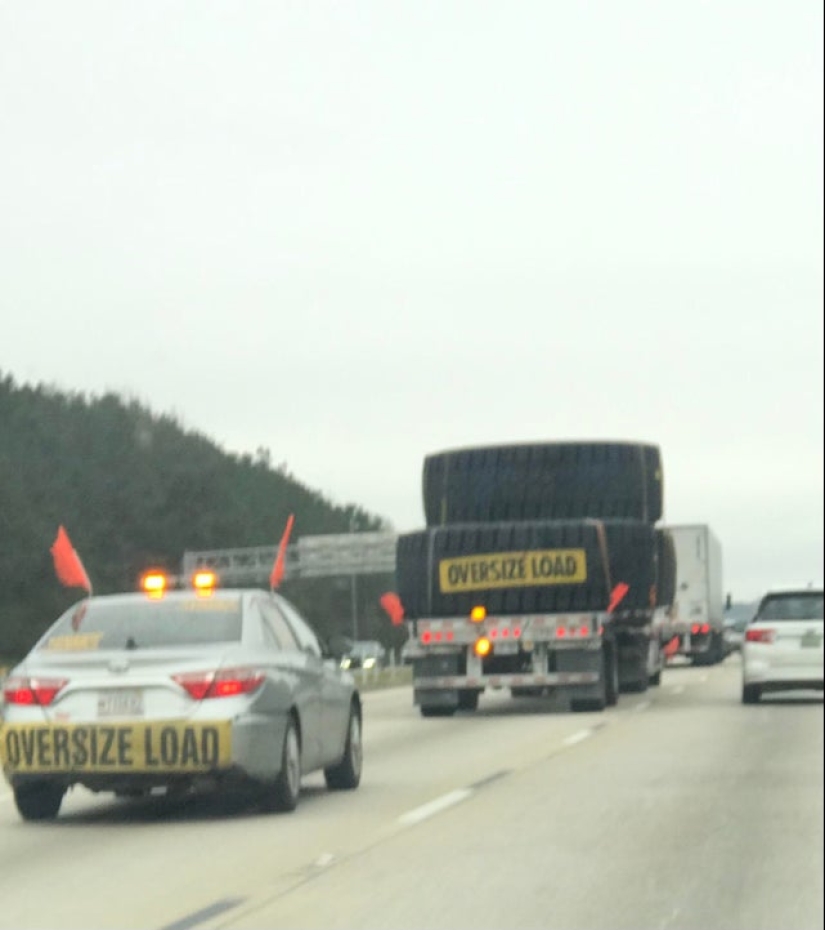 Neumococo de felpa y otras 22 curiosidades que pocas personas han visto Neumococo de felpa y otras 22 curiosidades que pocas personas han visto