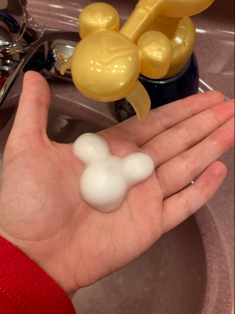 Neumococo de felpa y otras 22 curiosidades que pocas personas han visto Neumococo de felpa y otras 22 curiosidades que pocas personas han visto