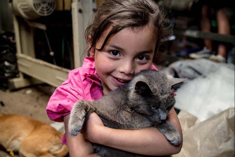 Ni un solo oso de peluche: juguetes favoritos de los niños de diferentes países