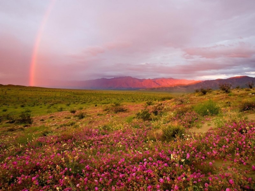 Ni una gota de Photoshop! 25 photoproofs que de la naturaleza con la imaginación de todos los derechos