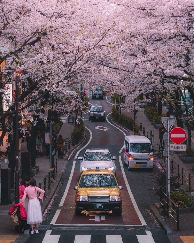 Night and day: stunning city landscapes of Japan