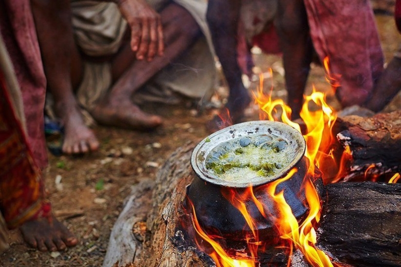 Nómadas de raute: cómo vive la tribu primitiva, cuyos días están contados